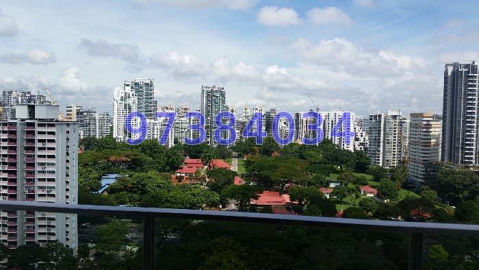 Cityscape @ Farrer Park (D8), Condominium #250241501